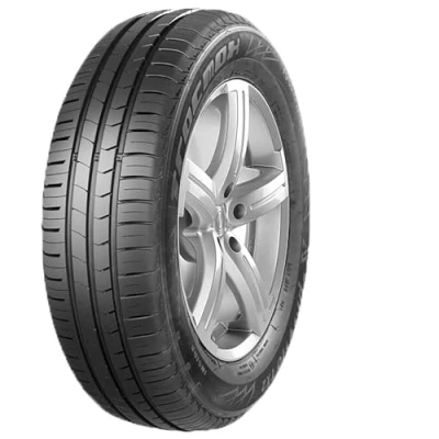 Abbildung von Tracmax X Privilo TX2 135/70 R15 70T PKW Sommerreifen Reifen SMART: City Coupe, Fortwo I Cabrio, CITROËN: 2CV Limousine TX2R1501