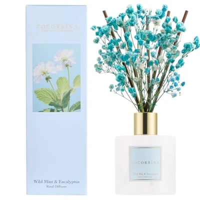 Abbildung von COCORRÍNA Raumduft Reed Diffuser mit 8 Duftstäbchen 200ml, Wild Mint &amp; Eucalyptus, Natürlich, Langanhaltend, Home Duft ätherisches Öl Diffusor für Badezimmer Regal Dekoration