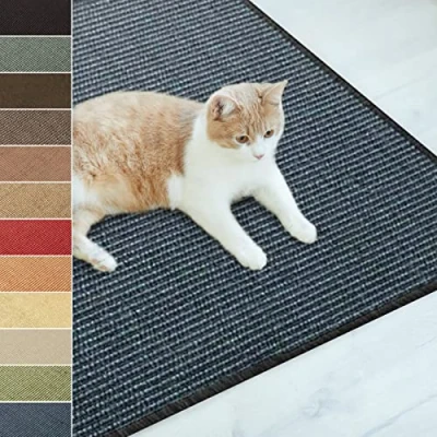 Abbildung von Floordirekt Sisal Fußmatte Teppich Vorleger Kratzteppich Katzenmöbel Kratzmatte Sisalmatte, widerstandsfähig &amp; in vielen Farben und Größen erhältlich (60 x 80 cm, Blau)