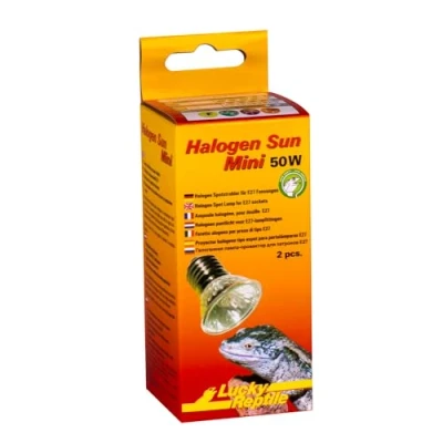 Abbildung von Lucky Reptile Halogen Sun Mini Doppelpack 50 W Wärmestrahler für E27 Fassungen Halogenstrahler Reptilien Terrarium Lampe mit Tageslichtspektrum Wärmelampe kleine Terrarien, Silber, 1 Stück (1er Pack)