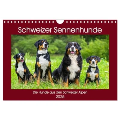Abbildung von Schweizer Sennenhunde die Hunde aus den Alpen (Wandkalender 2025 DIN A4 quer), CALVENDO Monatskalender