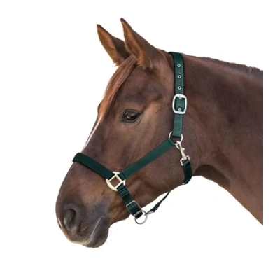 Abbildung von Waldhausen Neckholder Satin Pony Grün