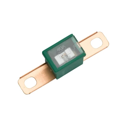 Abbildung von HELLA Sicherung PAL Blocksicherung Serie1 40A grün Menge: 1 8JS 740 026 321
