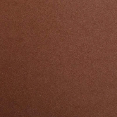 Abbildung von Clairefontaine 97861C Packung (mit 25 Bögen Zeichenpapier Maya, DIN A1, 59,4 x 84 cm, 120g, glatt, ideal für Trockentechnik und Einrahmen) dunkelbraun