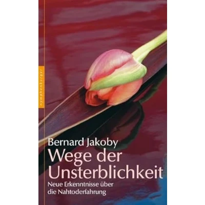 Abbildung von Wege der Unsterblichkeit: Neue Erkenntnisse über die Nahtoderfahrung