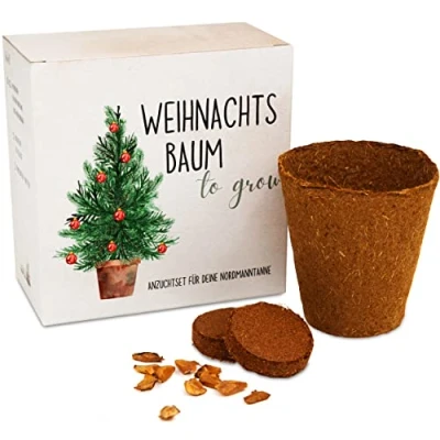 Abbildung von Tannenbaum Geschenk Set in der Dose Anzuchtset mit Kokostablette und Zellulose Topf 8 10 Samen für 5 Tannenbäume Weihnachtsbaum als Adventskalender Füllung