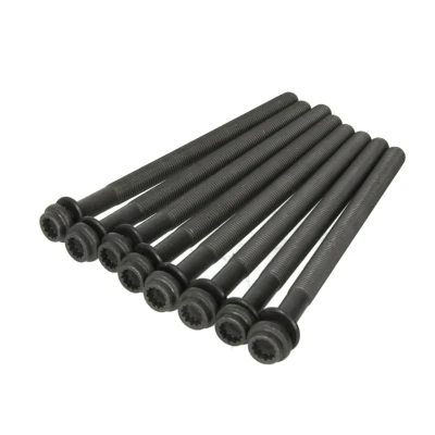 Abbildung von REINZ 14 32324 01 Zylinderkopfschraubensatz Innenvielzahn AUDI: A4 B9 Avant, Q7, B8 VOLKSWAGEN: Touareg II, Amarok Pickup, PORSCHE: Panamera