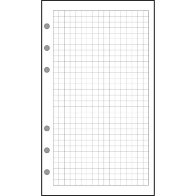 Abbildung von Quo Vadis Timer Notizen weiß kariert 32 Blatt 142x210mm