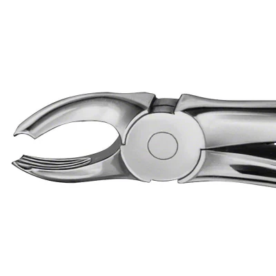Abbildung von ANATOMICA Zahnzange Figur 18 A OK Molaren
