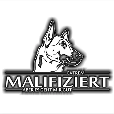 Abbildung von siviwonder Auto Aufkleber Malinois MALIFIZIERT Hund INFIZIERT Hundeaufkleber 30cm White