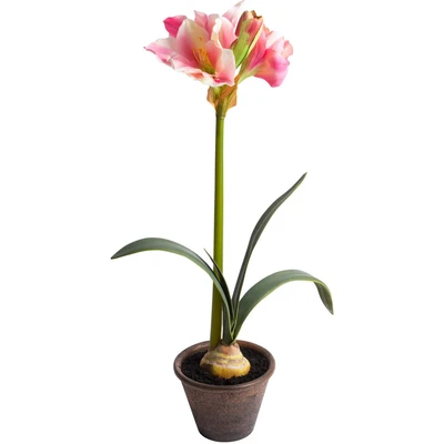 Abbildung von Botanic Haus Kunstblume &quot;Amaryllis im braunen Kunststofftopf&quot;