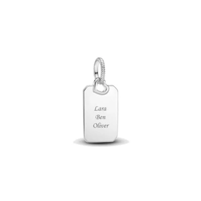 Abbildung von PANDORA Moments Gravierbarer runder Anhänger mit Halskette aus Sterling Silber, Kompatibel und ME Armbänder, Größe:19, 398611C00