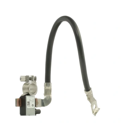Abbildung von HELLA 6PK 010 562 901 Sensor, Batteriemanagement BMW: 5 Limousine, 3 X5