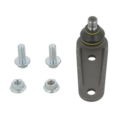 Abbildung von MOOG RE BJ 10718 Traggelenk beidseitig, unten, Vorderachse 16 73 44 RENAULT: MEGANE Scenic, 1, 1 Cabriolet