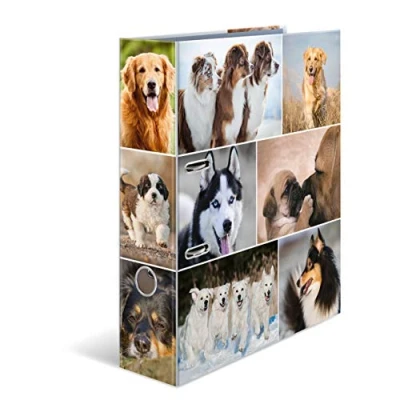 Abbildung von HERMA Ordner A4 Hunde Set, 10 Stück, 7 cm breit, Kinder Ringordner mit Tier Motiv, bunter Aktenordner Innendruck für Jungen und Mädchen