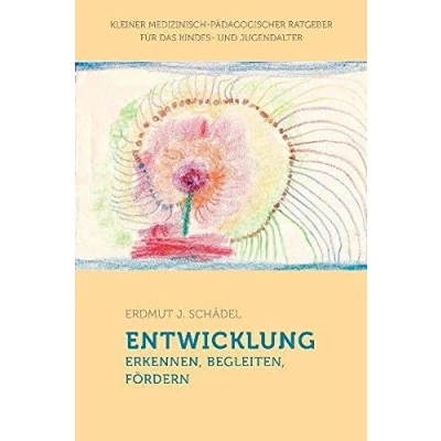 Abbildung von Entwicklung erkennen, begleiten, fördern: Kleiner medizinisch pädagogischer Ratgeber für das Kindes und Jugendalter