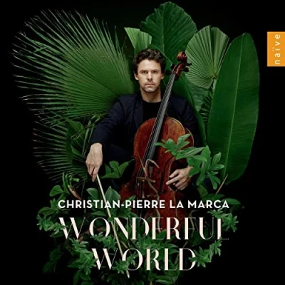 Abbildung von Wonderful World
