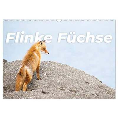 Abbildung von Flinke Füchse (Wandkalender 2025 DIN A3 quer), CALVENDO Monatskalender