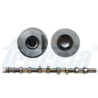 Abbildung von FRECCIA CM05 2165 Nockenwelle Einlassseite OPEL: Vivaro A Kastenwagen, RENAULT: TRAFIC 2 Kasten