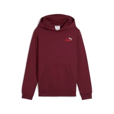 Abbildung von PUMA ESS 2 Color Small No. 1 Logo Hoodie FL B