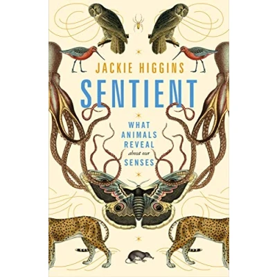 Abbildung von Sentient: What Animals Reveal About Our Senses