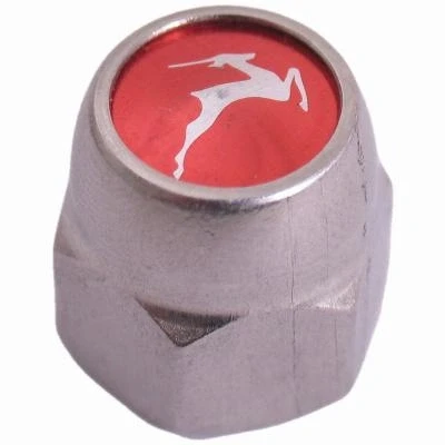 Abbildung von Decoratieve Hinterachsmutter Gazelle Bremsnabe 3/8&quot; X 24g 21 Mm Rostfreier Stahl