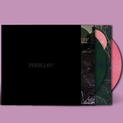 Abbildung von Goodbye Dinosaur // A Playground For Sad Adults [Vinyl LP]