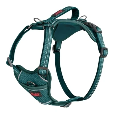 Abbildung von Halti Anatomie Auswahl Teal Large