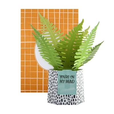 Abbildung von Hallmark Pop Up Karte modernes Farn Pflanzen Design
