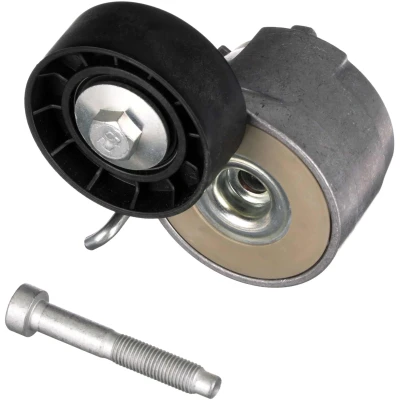 Abbildung von GATES FleetRunner Micro V Kit T39014 Spannrolle FIAT: Panda II Schrägheck, 500 Grande Punto FORD: KA Schrägheck