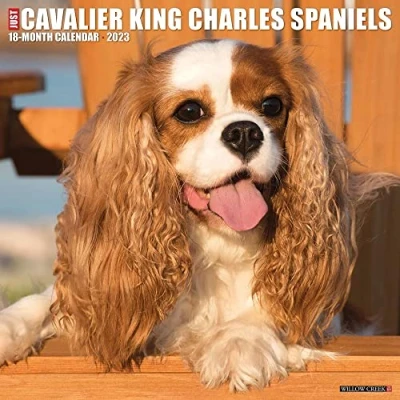 Abbildung von Just Cavalier King Charles Spaniels 2023 Wall Calendar