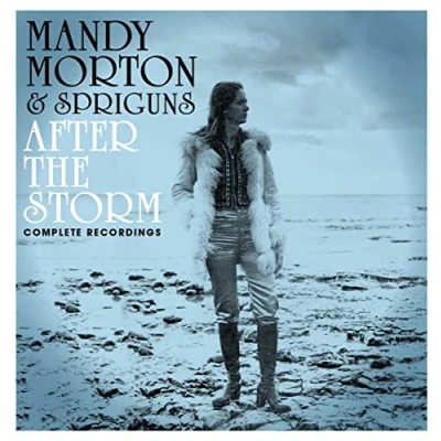 Abbildung von After the Storm Complete Recordings