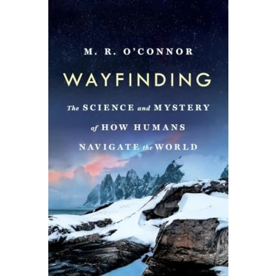Abbildung von Wayfinding: the Science and Mystery of How Humans Navigate World
