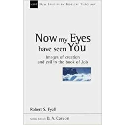 Abbildung von Now My Eyes Have Seen You: Images Of Creation And Evil in The Book Job (New Studies Biblical Theology)