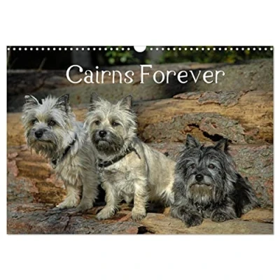 Abbildung von Cairns Forever (Wandkalender 2025 DIN A3 quer), CALVENDO Monatskalender