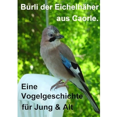 Abbildung von Burli der Eichelhäher aus Caorle: Eine Vogelgeschichte für Jung und Alt