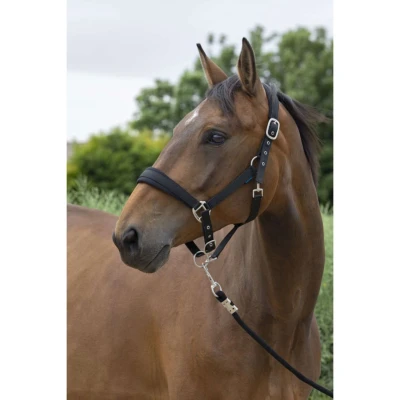 Abbildung von Norton Halfterset Large Schwarz Warmblut