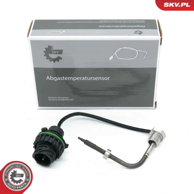 Abbildung von ESEN SKV 30SKV461 Sensor, Abgastemperatur