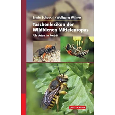Abbildung von Taschenlexikon der Wildbienen Mitteleuropas: Alle Arten im Porträt