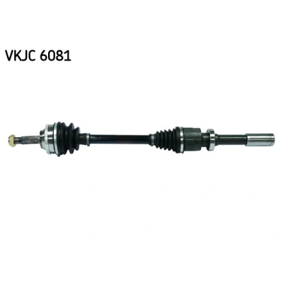 Abbildung von SKF VKJC 6081 Antriebswelle 718, 172 mit Lager RENAULT: CLIO 2