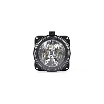 Abbildung von BSG 30 815 005 Nebelscheinwerfer links, rechts FORD: Transit Connect Mk1 Kastenwagen
