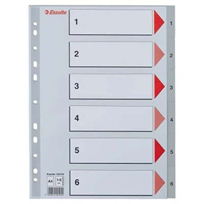 Abbildung von Esselte Plastic indexes, 225 mm, 297 mm