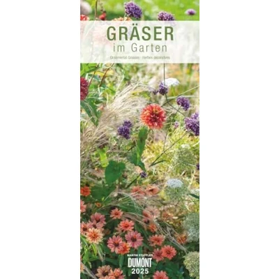 Abbildung von DUMONT Gräser im Garten 2025 Wandkalender, 30x70cm, Gartenkalender mit beeindruckenden Fotografien aus dem Garten, Spiralbindung