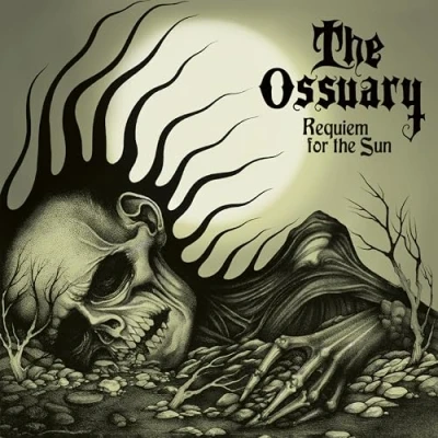 Abbildung von Requiem for the Sun (Black Vinyl) [Vinyl LP]