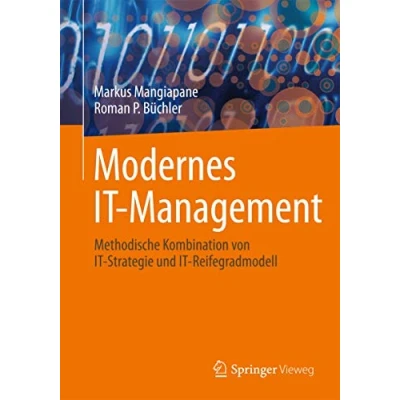 Abbildung von Modernes IT Management: Methodische Kombination von Strategie und Reifegradmodell