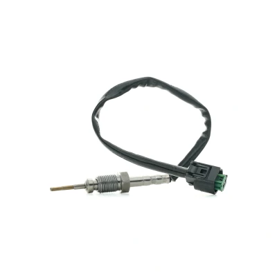 Abbildung von DENSO DET 0110 Sensor, Abgastemperatur BMW: 5 Touring, Limousine, 3 Touring