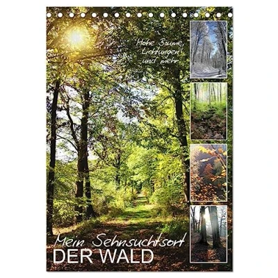 Abbildung von Mein Sehnsuchtsort, der Wald (Tischkalender 2025 DIN A5 hoch), CALVENDO Monatskalender