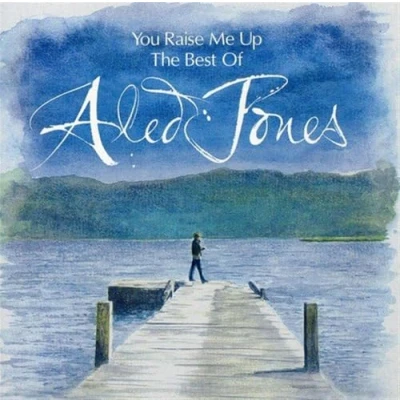 Abbildung von You Raise Me Up: the Best of Al