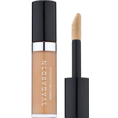 Abbildung von Eva Garden Concealer Perfector 5 ml 333 medium amber