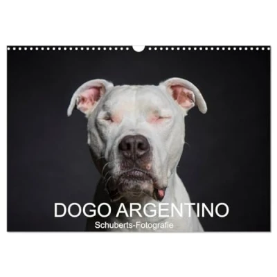Abbildung von DOGO ARGENTINO (Wandkalender 2025 DIN A3 quer), CALVENDO Monatskalender: Eine Hunderasse zum verlieben